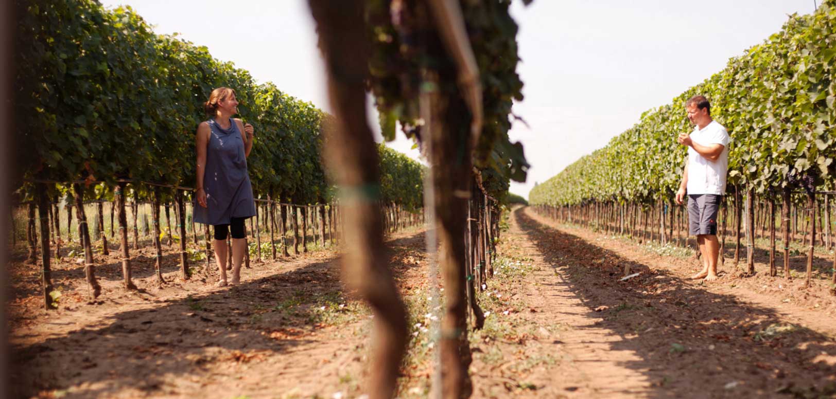 Weingut Heiling Weingarten